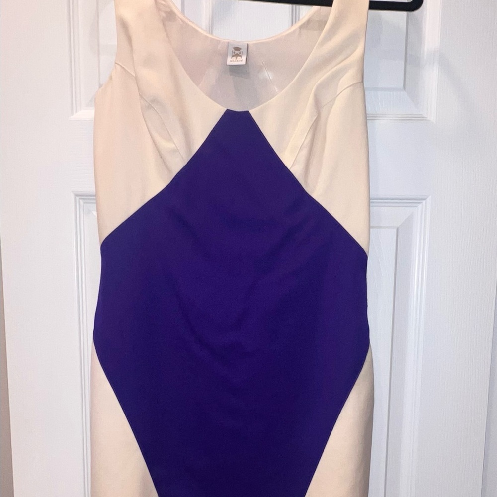 Abaete Two-Toned Mini Dress